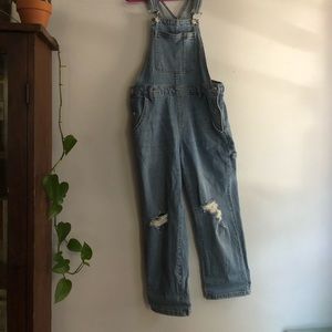 Wild fable Target Overalls